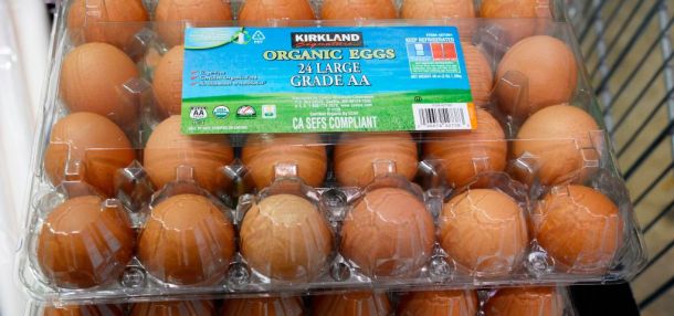 Costco Organic Eggs Recalled Over Salmonella Concerns in Five States