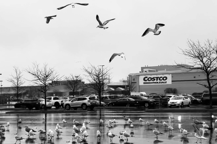 Costco’s VIP Hour for Executive Members Sparks Rush to Upgrade!