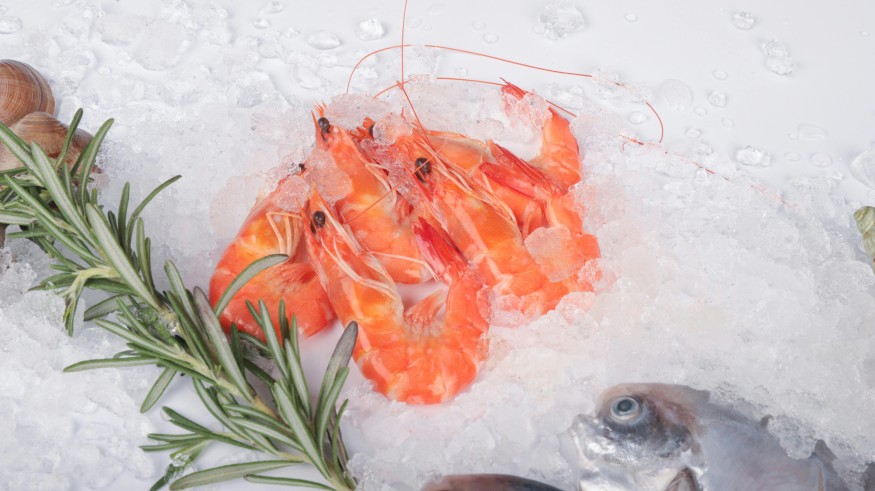 Shrimp in ice