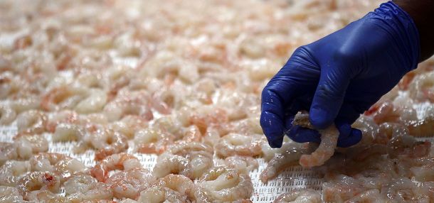 Kroger Shrimp Products Recalled Over Possible Nuclear Byproduct Exposure
